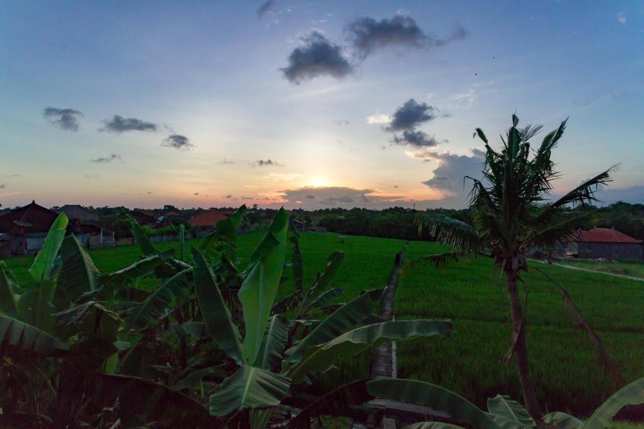 Samadi Bali Homes Canggu Eksteriør billede